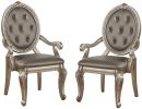 Northville Arm Chair (Set-2) in PU & Antique Silver 66923